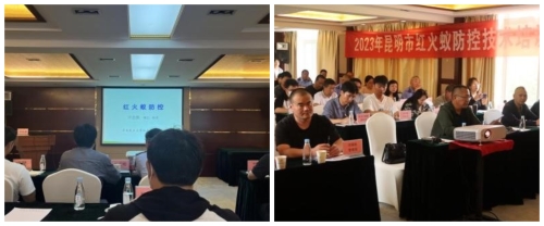 下载 (1)